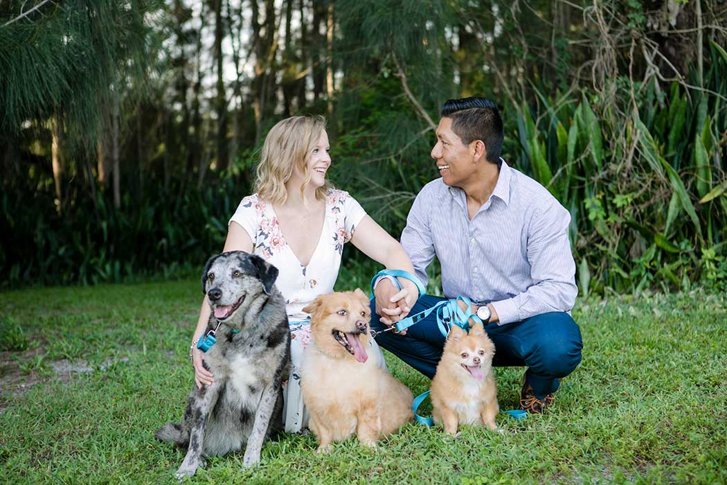 engagement photoshoot with dogs