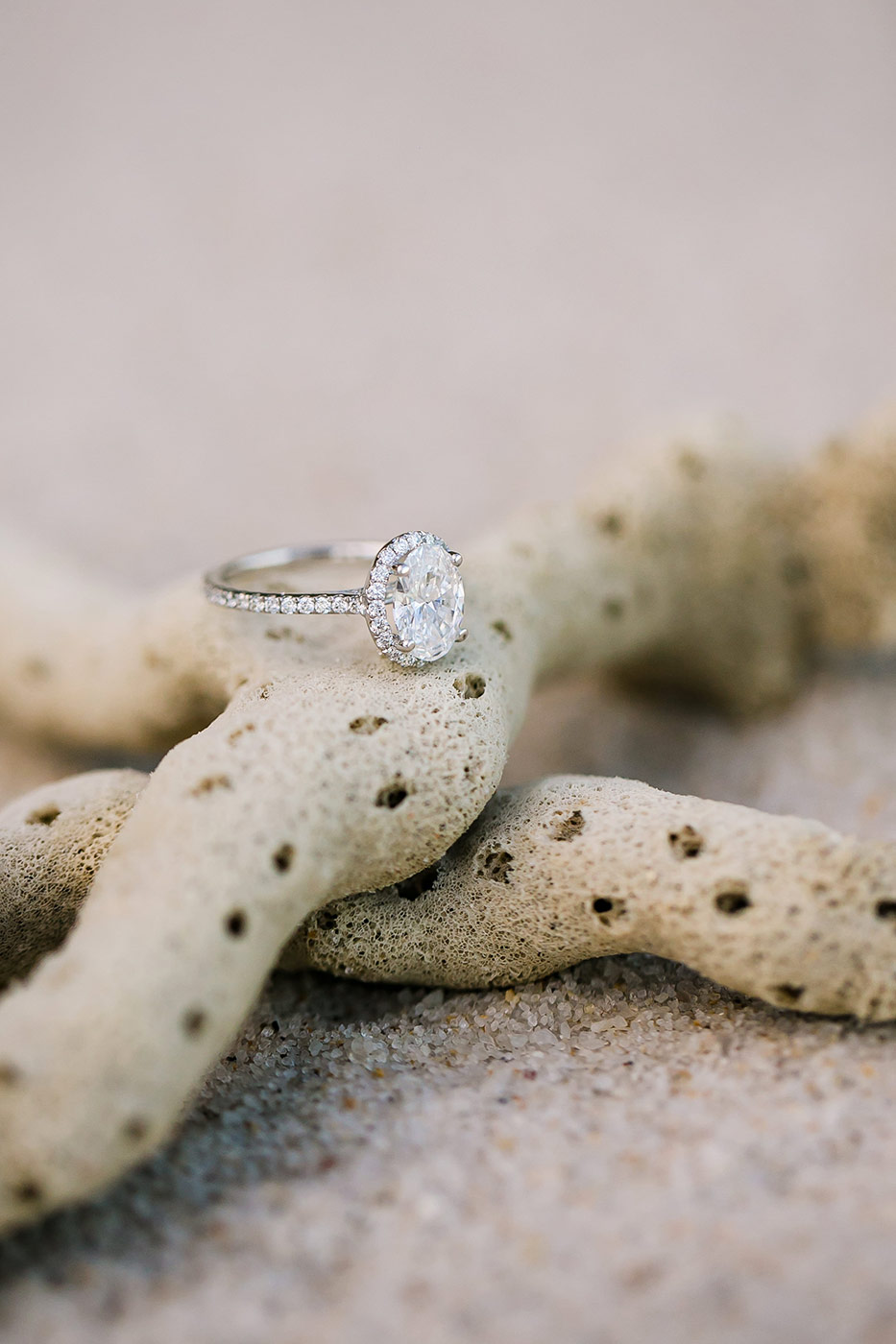 beautiful oval diamond engagement ring | engagement ring on coral