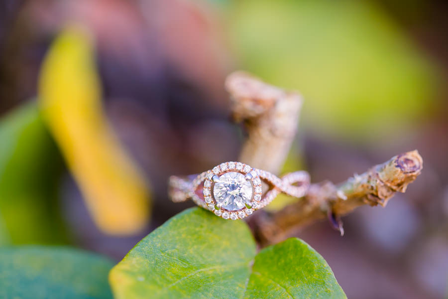photo of diamond engagement ring | vizcaya museum and gardens engagement session