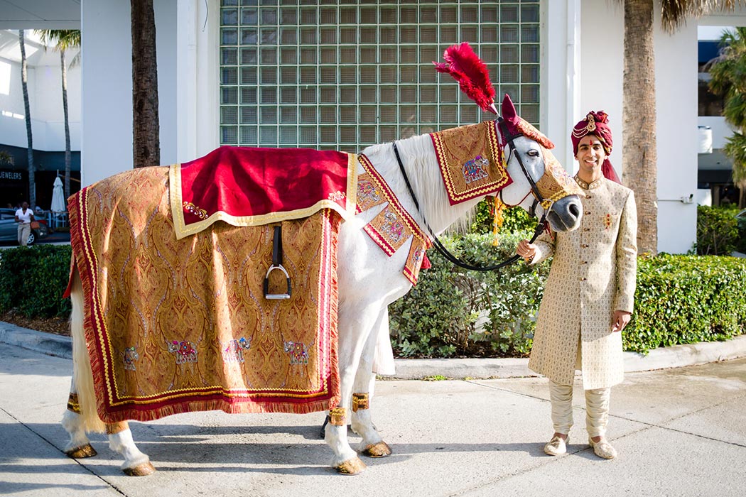 indian groom posing with white baraat horse during wedding celebrations in south florida
